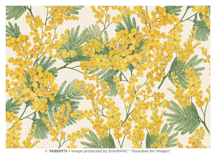 Carta Mimose Nuove
