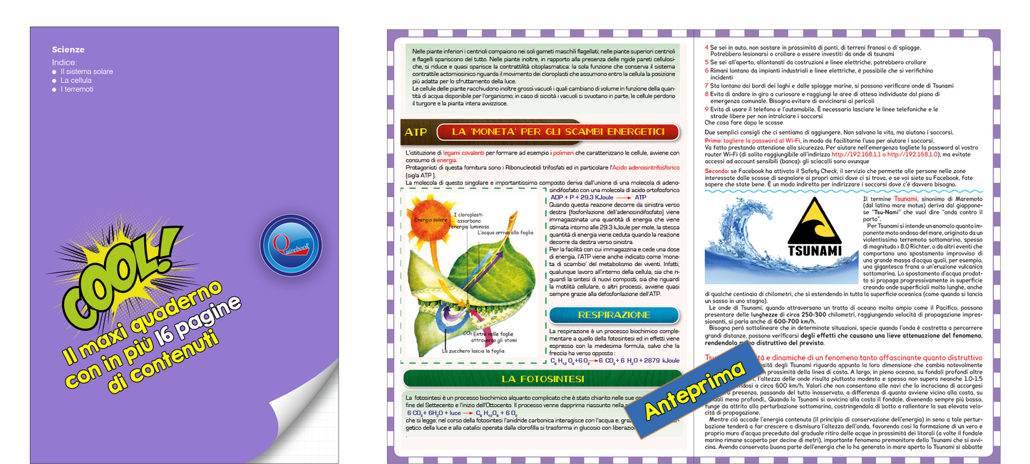 Maxi Quaderno Quire Book
