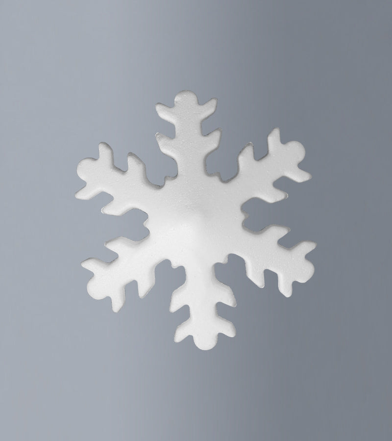 Fiocco di neve