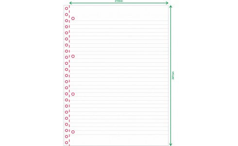Quaderno F.to A4 21 X 29,7 con Spirale e fori