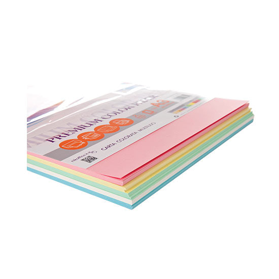 Carta A4 gr. 200 colori tenui assortiti fg 100