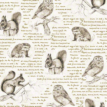 Carta Bosco Magico