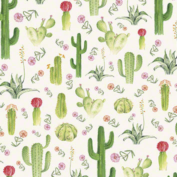 Carta Cactus