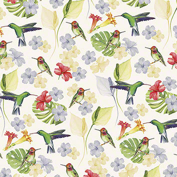 Carta Colibrì