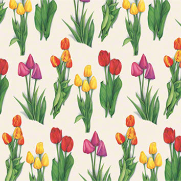 Carta Tulipani