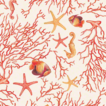 Carta Coralli