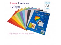 Pacco da 100 Fogli di Carta 120g in 10 Colori Assortiti