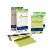 Busta Calligraphy Nature . Conf, 25 Pz