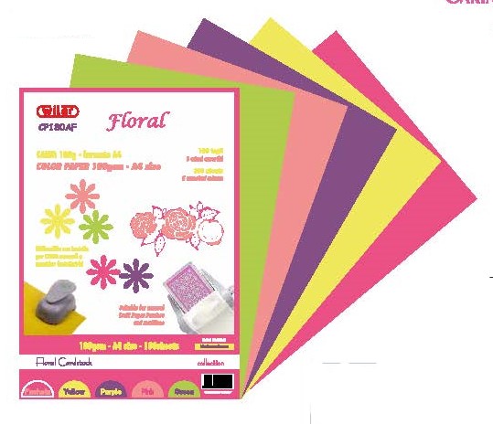 Cartoncino A4 Gr. 180 Colorata Mista Assortimento NATURE Fg. 100