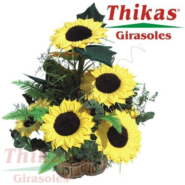 Stampo per Fommy / Gomma Crepla "Thikas"